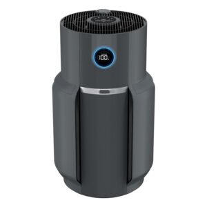 Air Purifier for Home